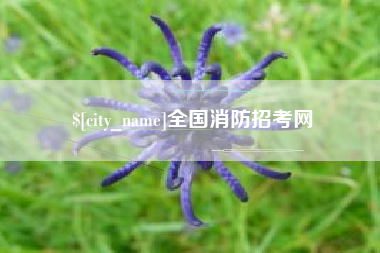 永新全国消防招考网