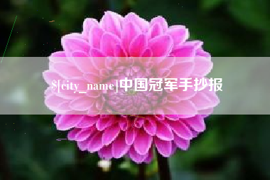 永新中国冠军手抄报