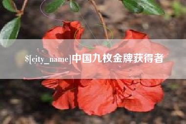 永新中国九枚金牌获得者