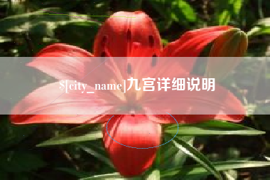永新九宫详细说明