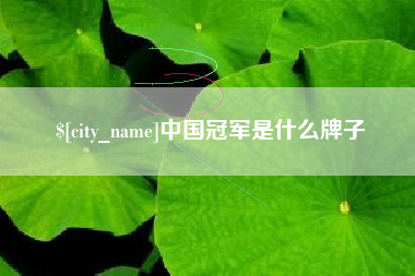 永新中国冠军是什么牌子