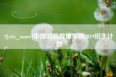 永新中国消防救援学院2019招生计划