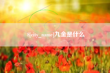 永新九金是什么