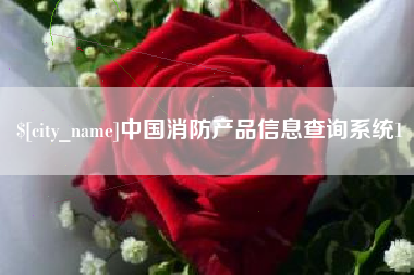 永新中国消防产品信息查询系统1