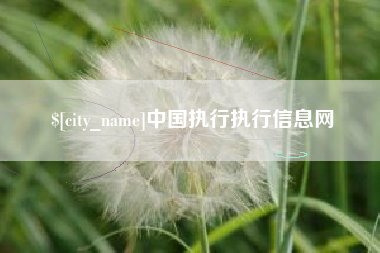 永新中国执行执行信息网