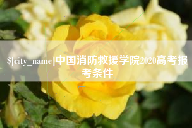永新中国消防救援学院2020高考报考条件