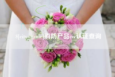 永新消防产品ccc认证查询