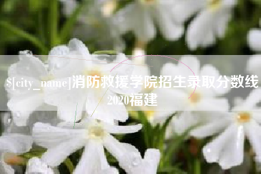 永新消防救援学院招生录取分数线2020福建