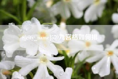 永新579九宫格如何排