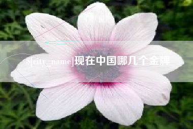 永新现在中国哪几个金牌