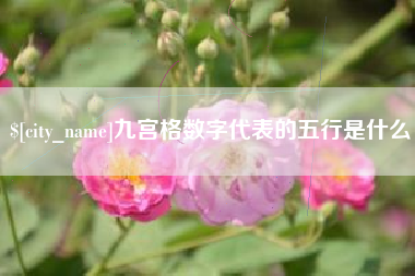 永新九宫格数字代表的五行是什么