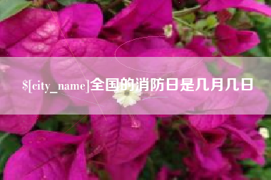 永新全国的消防日是几月几日