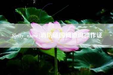 永新消防证国网查询操作证