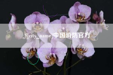 永新中国消防官方