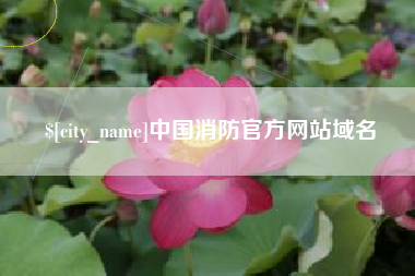 永新中国消防官方网站域名