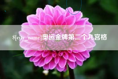 永新奥运金牌第二个九宫格