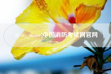 永新中国消防考试网官网