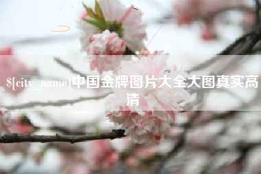 永新中国金牌图片大全大图真实高清