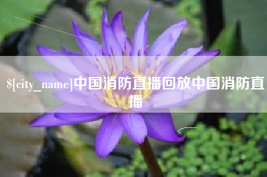 永新中国消防直播回放中国消防直播