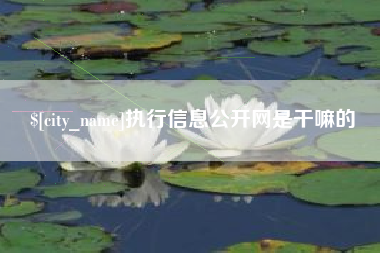 永新执行信息公开网是干嘛的