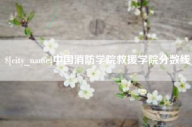 永新中国消防学院救援学院分数线