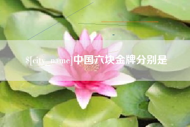永新中国六块金牌分别是