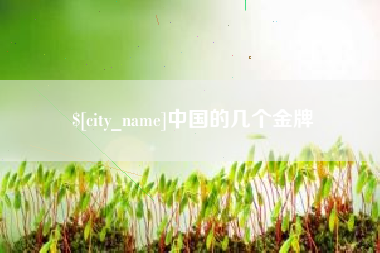 永新中国的几个金牌