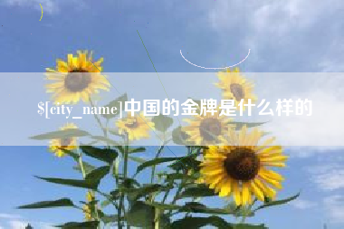 永新中国的金牌是什么样的