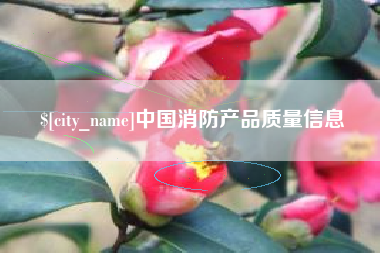 永新中国消防产品质量信息