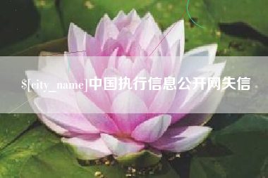 永新中国执行信息公开网失信