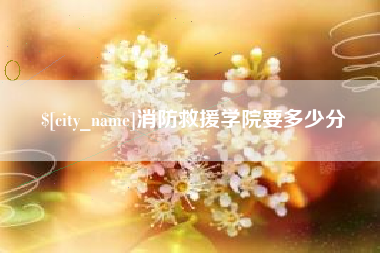 永新消防救援学院要多少分