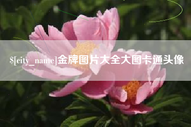 永新金牌图片大全大图卡通头像