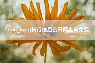 永新执行信息公开网查询免费