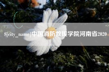 永新中国消防救援学院河南省2020